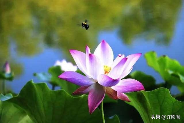 佛经中最有禅意的句子（20条充满禅意的经典名句）