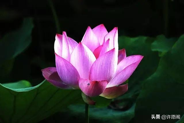 佛经中最有禅意的句子（20条充满禅意的经典名句）