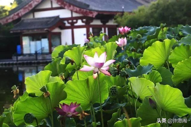 佛经中最有禅意的句子（20条充满禅意的经典名句）