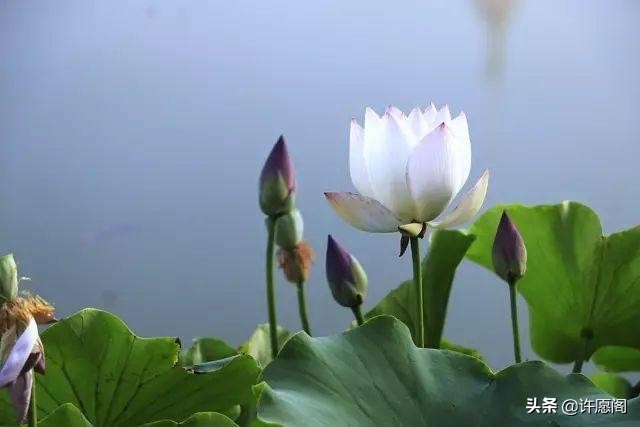 佛经中最有禅意的句子（20条充满禅意的经典名句）