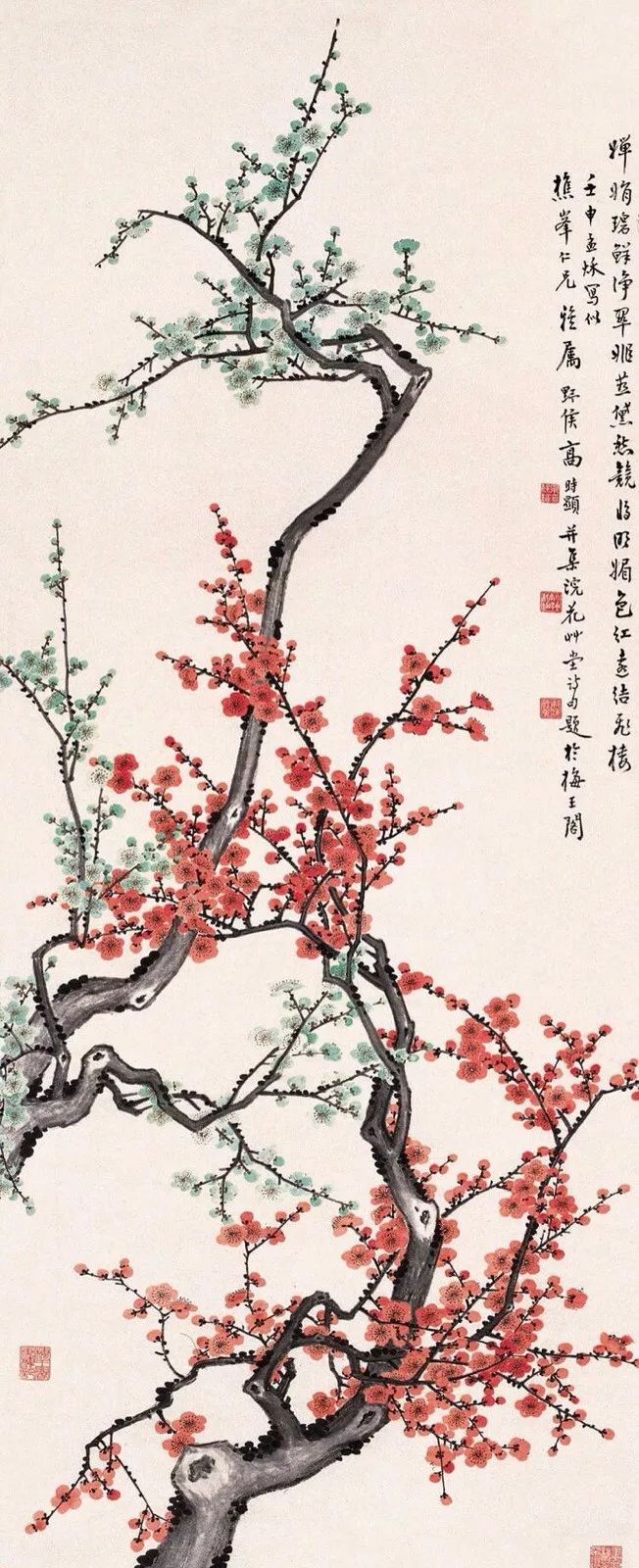 关于梅花的诗句有哪些（最经典的梅花诗词）