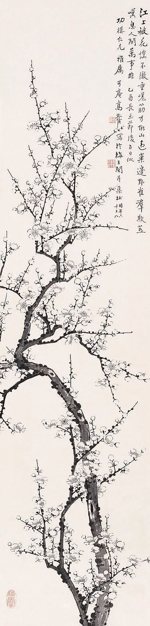 关于梅花的诗句有哪些（最经典的梅花诗词）