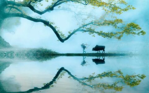 描写田园风光的诗句（最经典的田园诗）