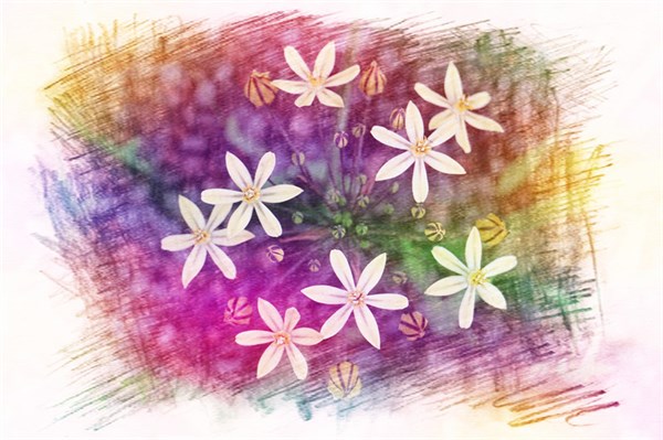 微信早安正能量问候语（每天励志正能量早安语）