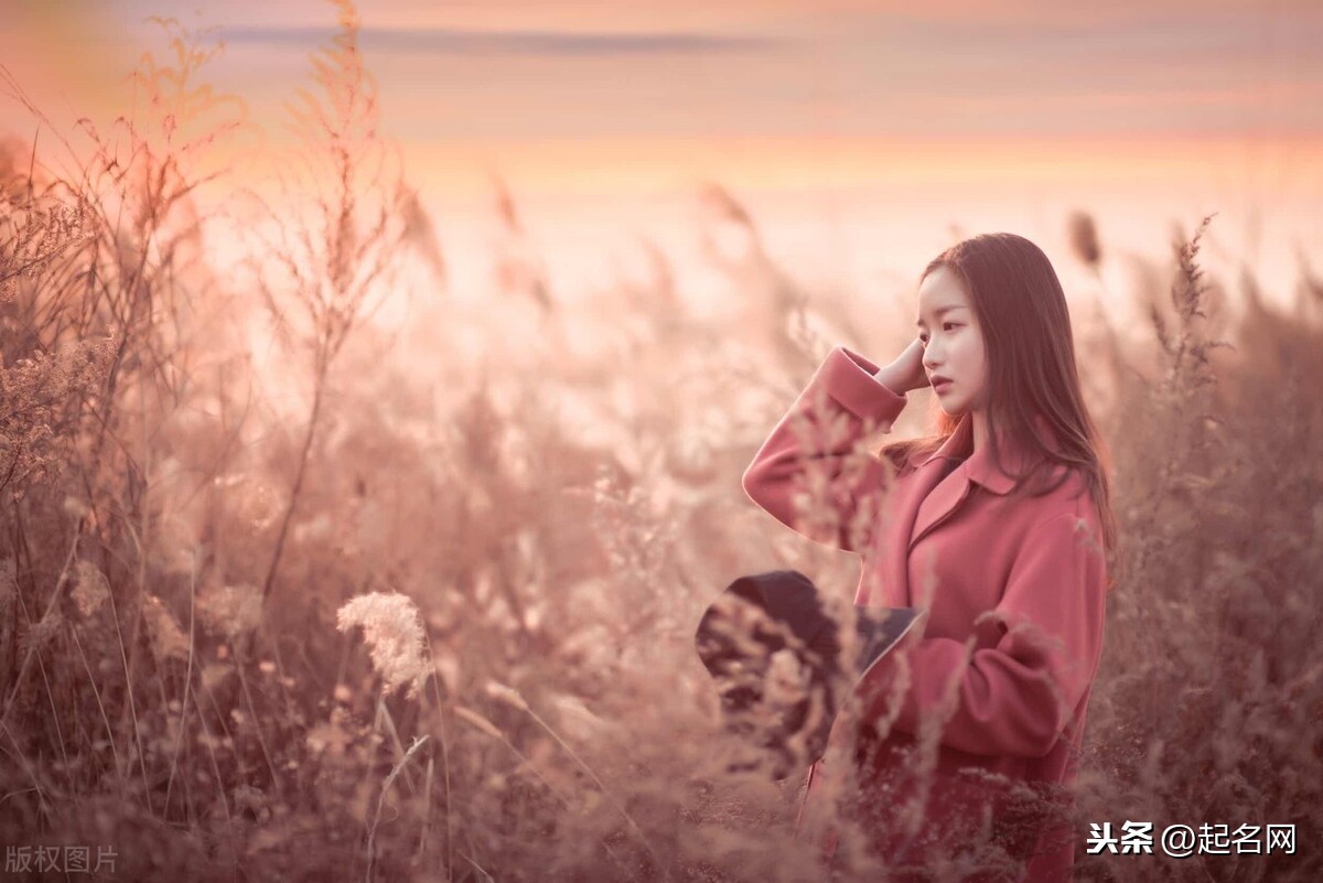 带李的诗句有哪些（李字开头的唯美诗句）