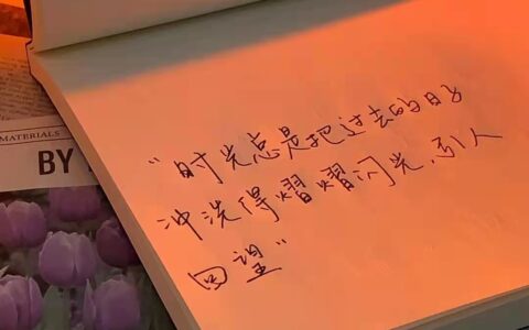 时光飞逝的句子唯美（时光太匆匆的经典句子）