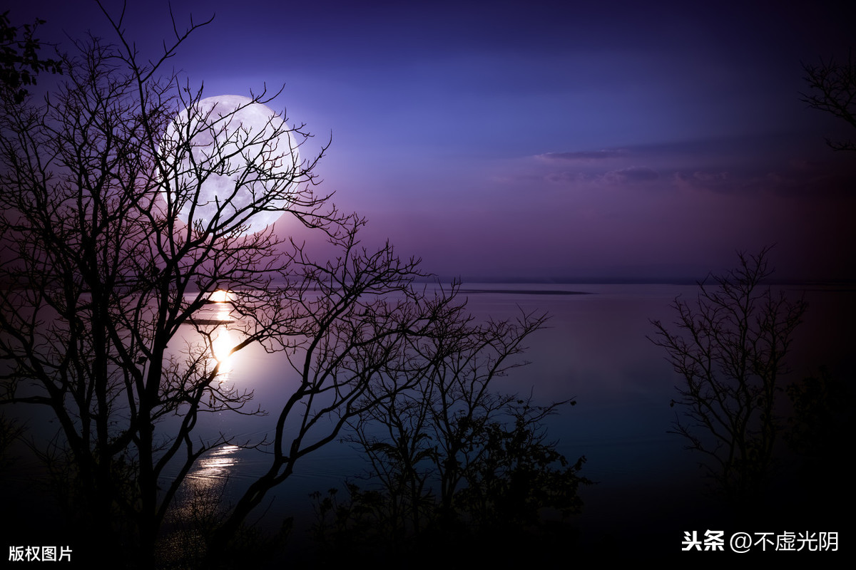 十五夜望月古诗原文及翻译（十五夜望月古诗诗意）