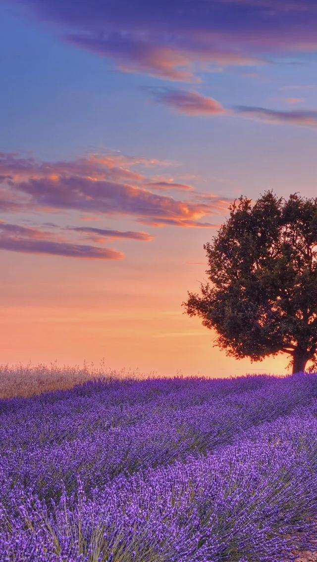 描写风景的句子摘抄（最美的风景短句）