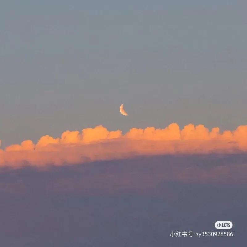 描写风景的句子摘抄（最美的风景短句）