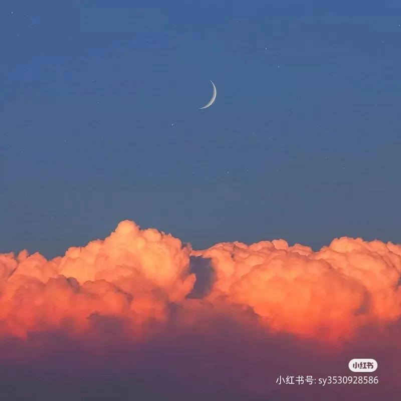 描写风景的句子摘抄（最美的风景短句）