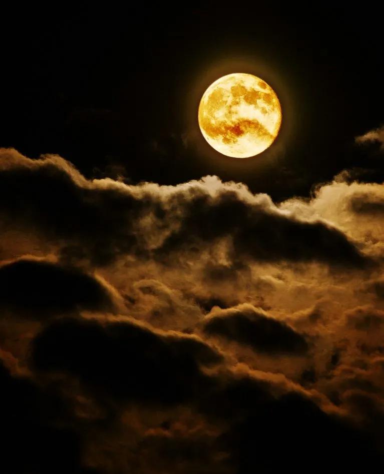 描写风景的句子摘抄（最美的风景短句）