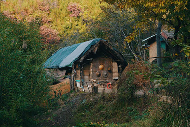 终南山在哪（终南山可以随意隐居吗）