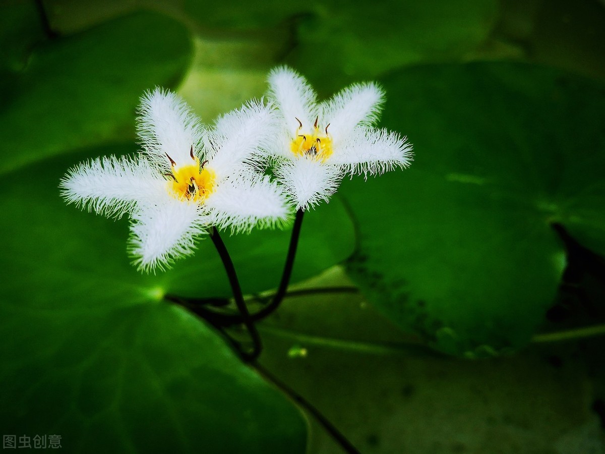 夫妻共同努力共同进步的句子（给夫妻打气正能量激励的短句）