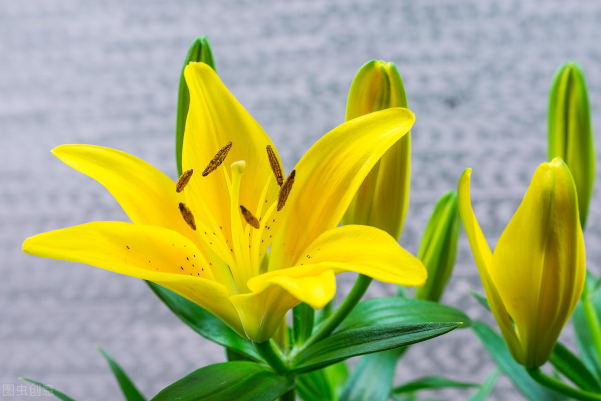 夫妻共同努力共同进步的句子（给夫妻打气正能量激励的短句）