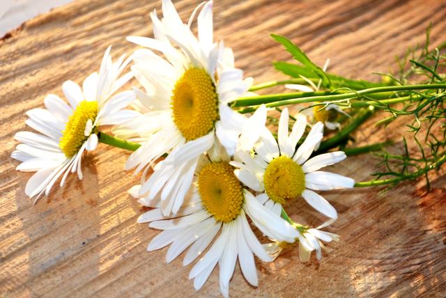 夫妻共同努力共同进步的句子（给夫妻打气正能量激励的短句）