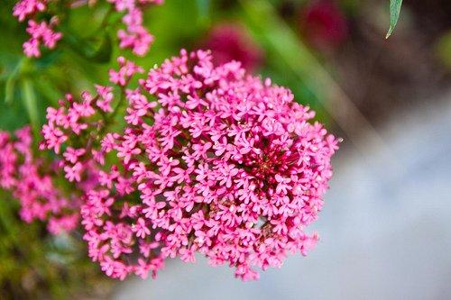 夫妻共同努力共同进步的句子（给夫妻打气正能量激励的短句）