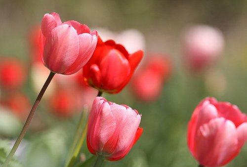 夫妻共同努力共同进步的句子（给夫妻打气正能量激励的短句）