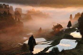描写乡村的古诗有哪些（乡村景色的古诗大全）