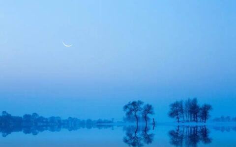 月亮诗句大全唯美句子（赞美月色很美的诗句）