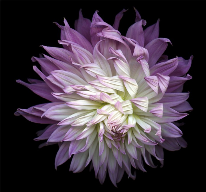 励志有深度有品味的句子（品味生活的唯美句子）