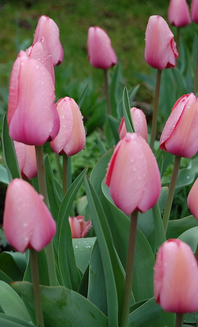 励志有深度有品味的句子（品味生活的唯美句子）