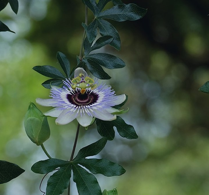 励志有深度有品味的句子（品味生活的唯美句子）