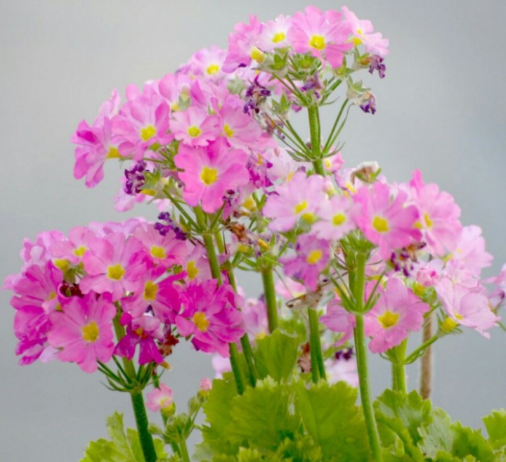 励志有深度有品味的句子（品味生活的唯美句子）