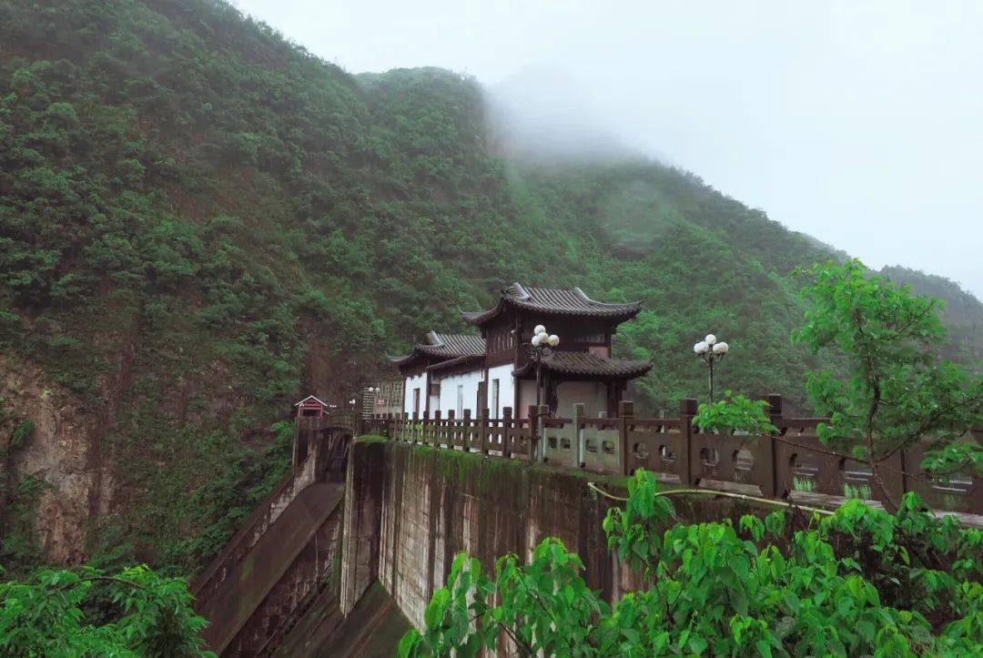 描写春雨的古诗大全（赞美春雨的古诗）