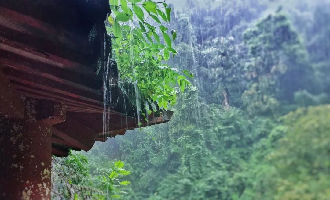 描写春雨的古诗大全（赞美春雨的古诗）
