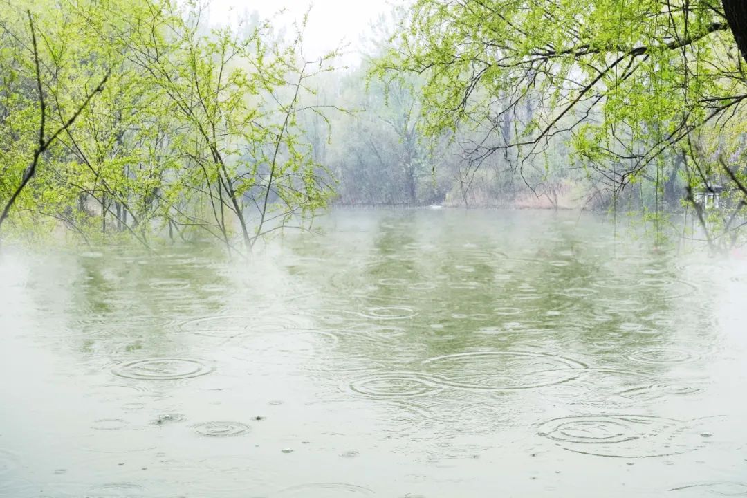 描写春雨的古诗大全（赞美春雨的古诗）