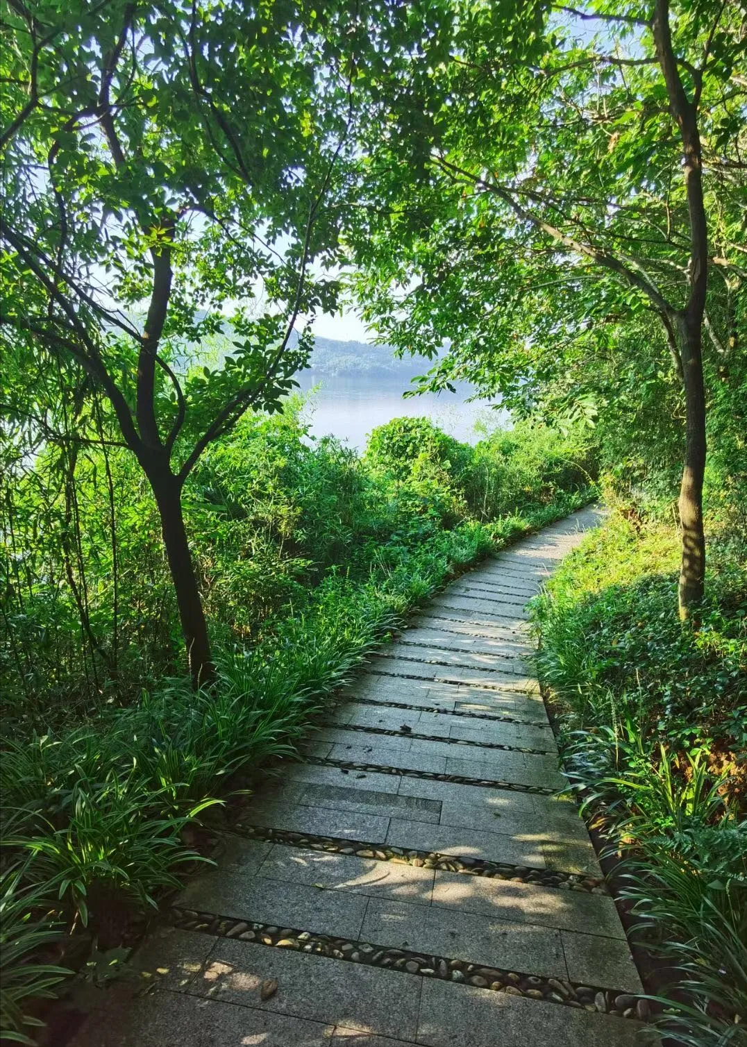 著名现代诗歌精选长篇（长篇诗歌摘抄大全）