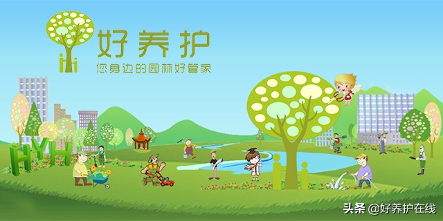 关于银杏叶的唯美诗（银杏的诗句或名言赞美）