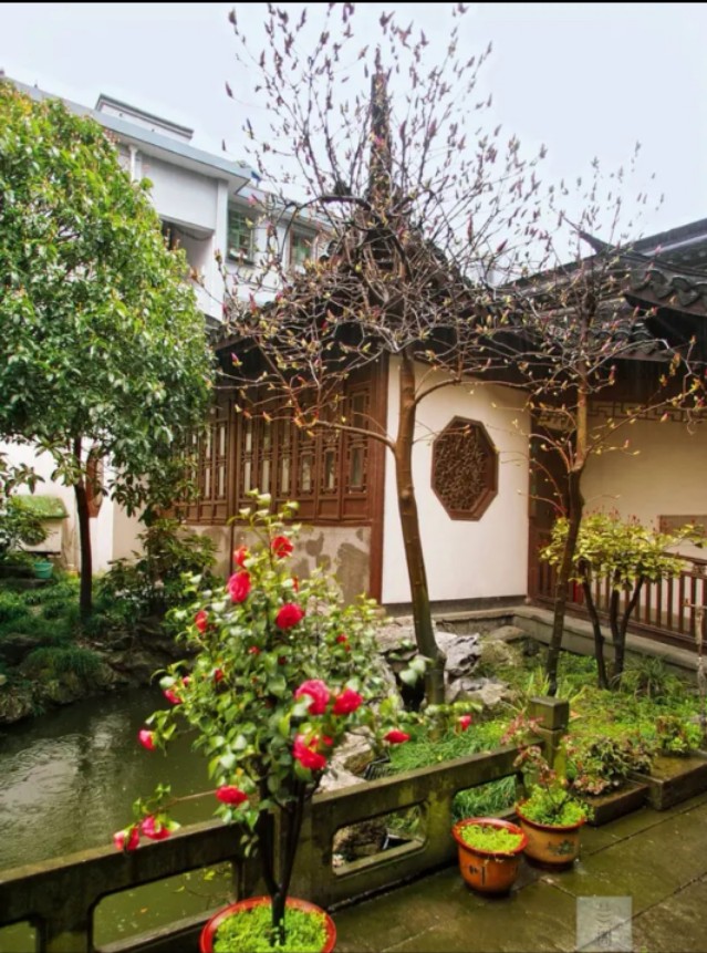 已亥杂诗其5翻译简短（已亥杂诗全诗解析）