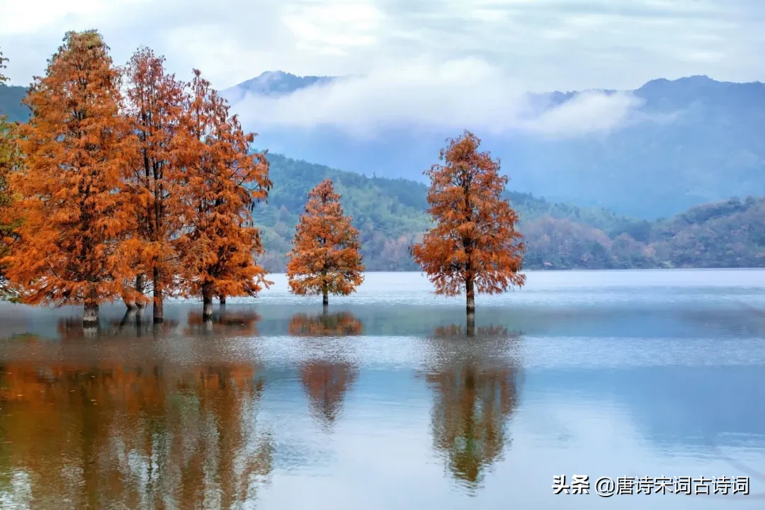 形容四季的句子唯美（关于四季的优美短句）