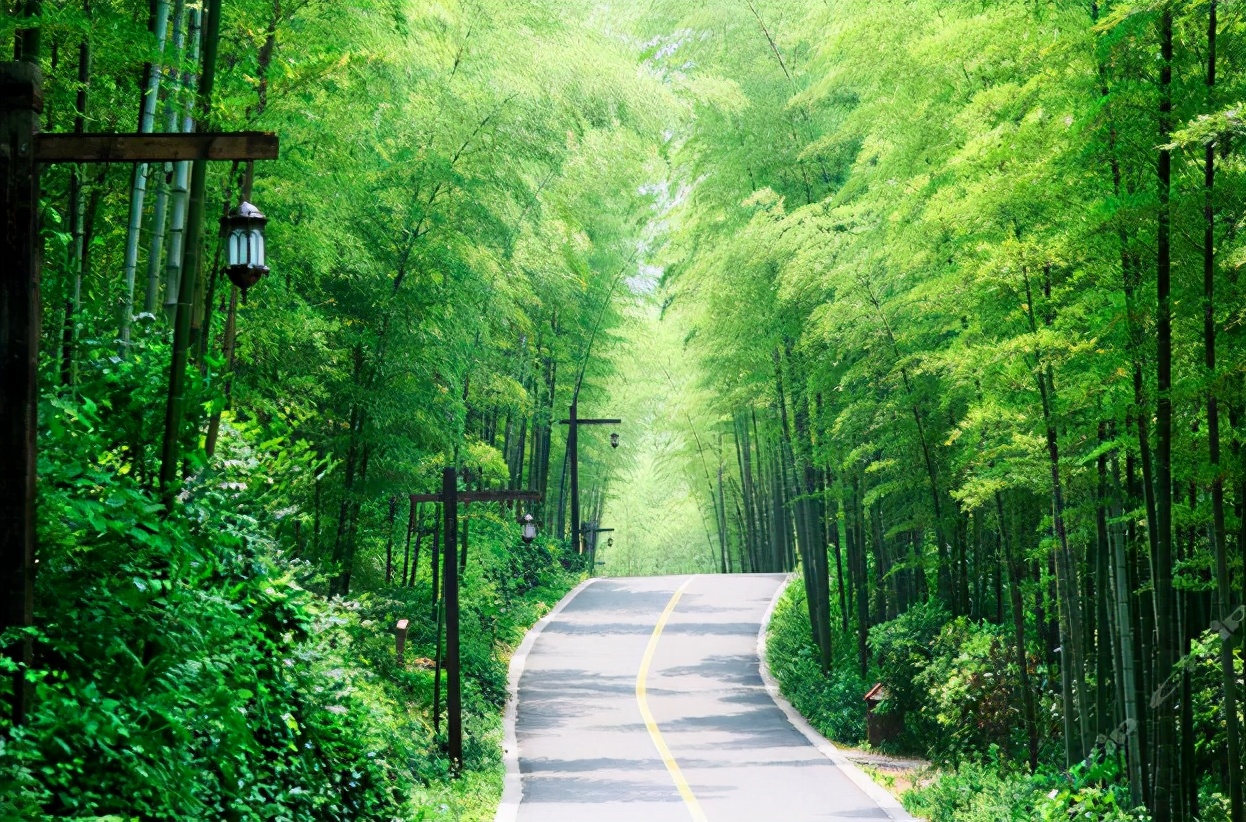 陶渊明名句采菊东篱下（陶渊明的这首田园诗）