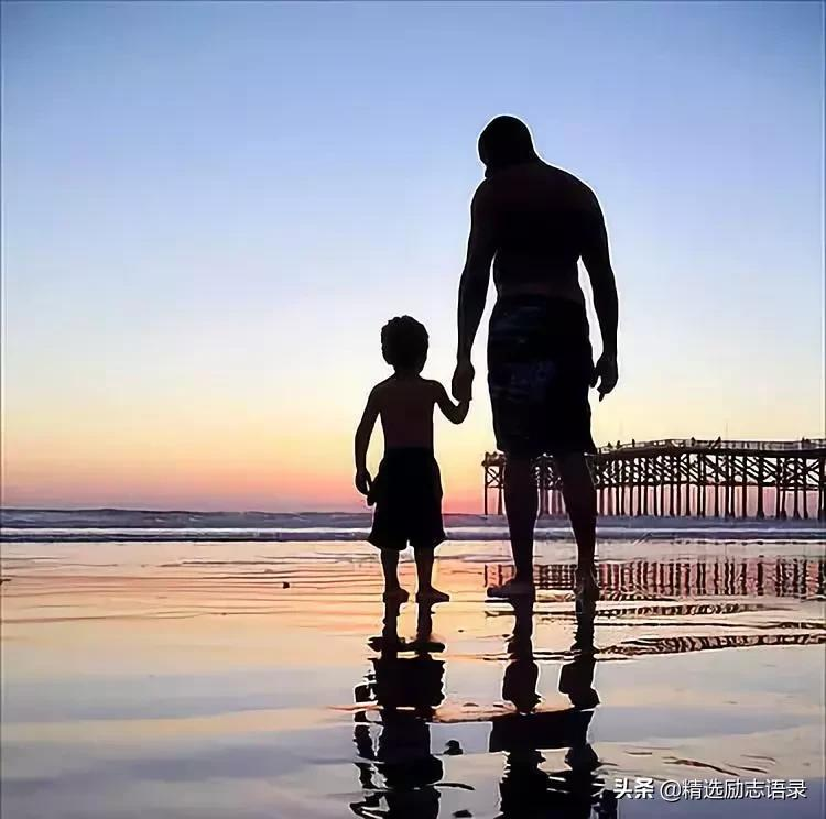 歌颂父爱的句子有哪些（歌颂父爱的句子父爱的诗句分享）