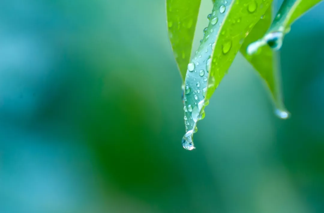 夏雨的诗句美好古诗（关于落雨的秋的唯美诗句）