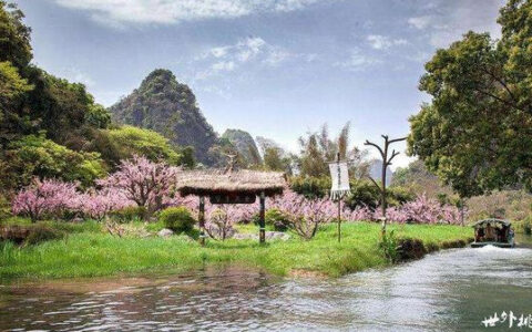 桃花源记读后感600字（读桃花源记有感）