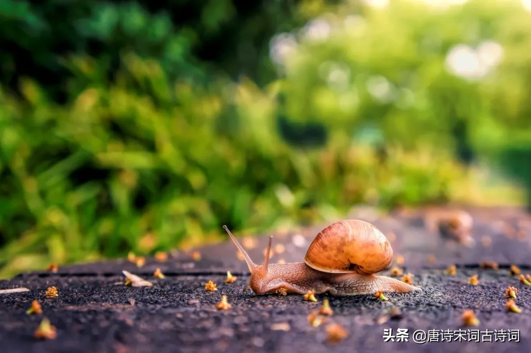 形容四季的句子唯美（关于四季的优美短句）