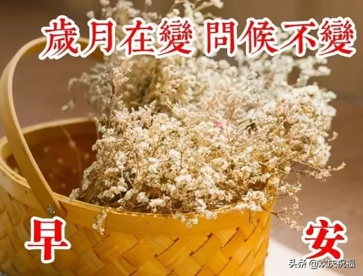 珍惜缘分的经典语句（10条珍惜你我的缘分的句子）
