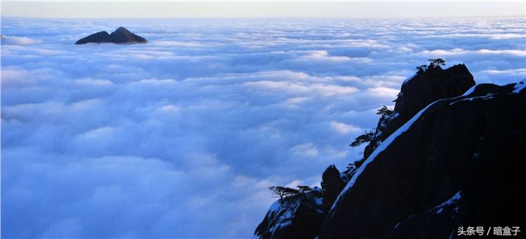 赞美黄山的诗句有哪些（黄山的风景独特好诗句）