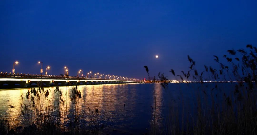 古诗静夜思的诗意是什么（静夜思古诗意思全解）