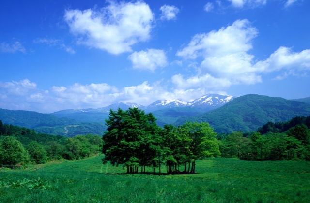 写天蓝的唯美简短句子（分享关于蓝天的唯美句子）
