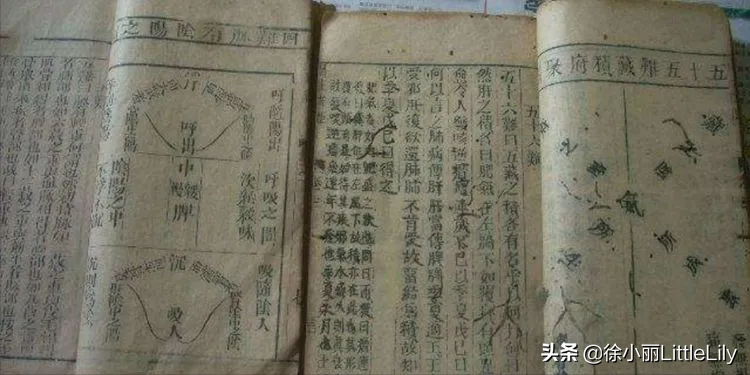 难经原文和译文（黄帝八十一难经白话文）
