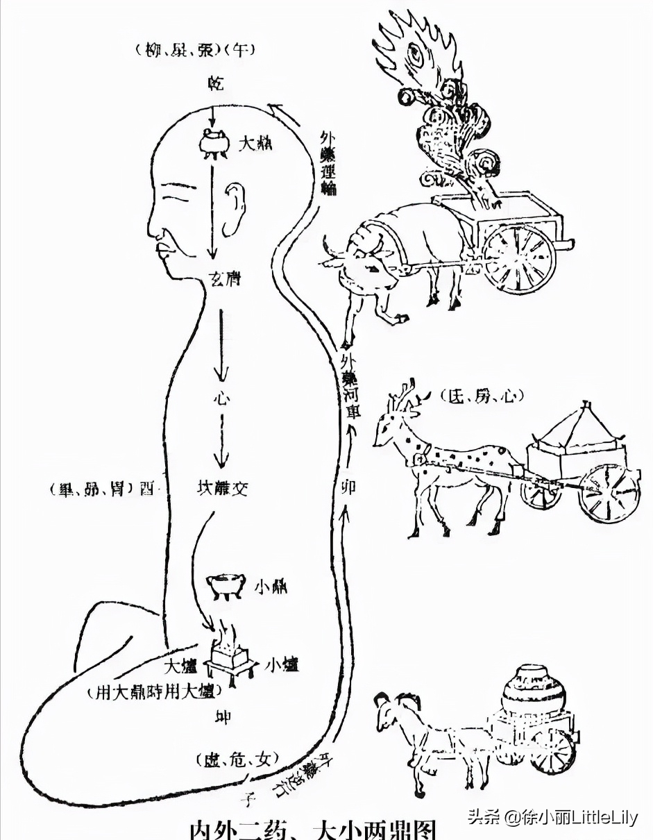 难经原文和译文（黄帝八十一难经白话文）