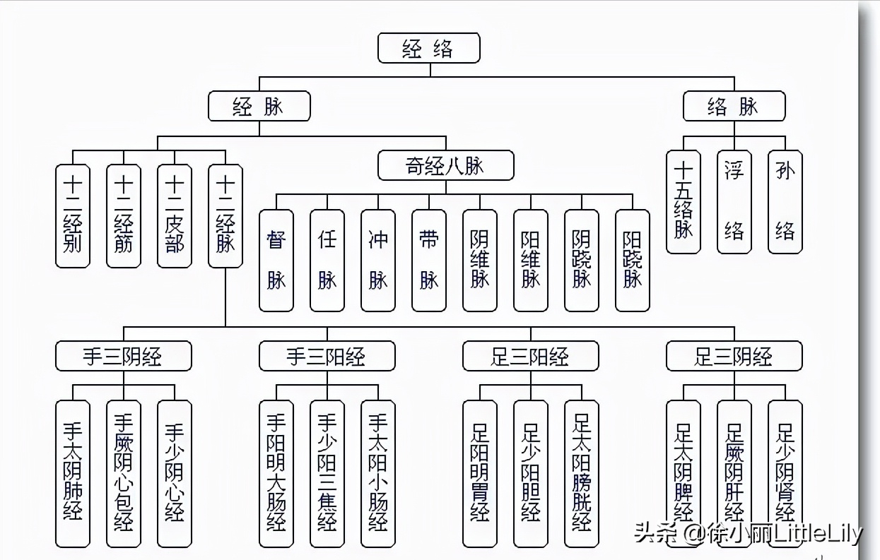难经原文和译文（黄帝八十一难经白话文）