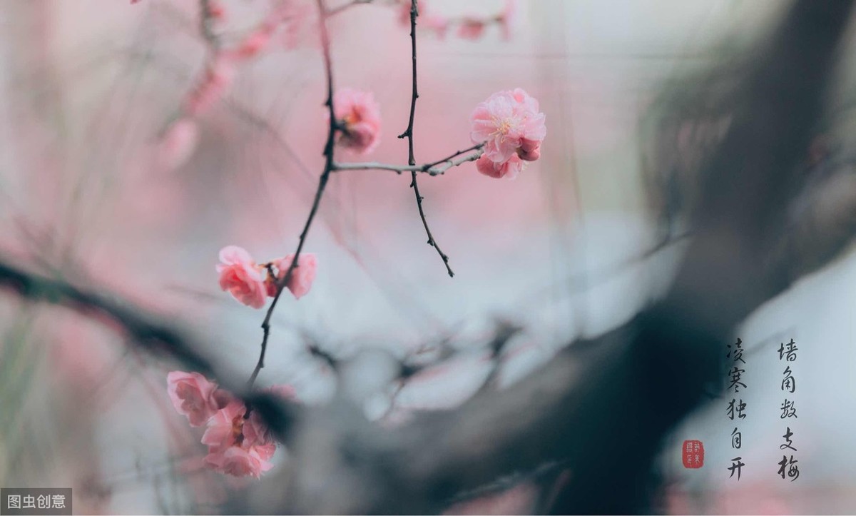 有关友谊的诗句有哪些（友谊长存的经典诗句）