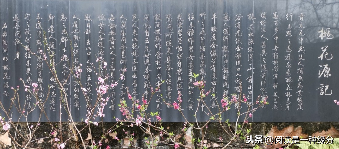 桃花源记赏析200字（桃花源记的诗意理解）