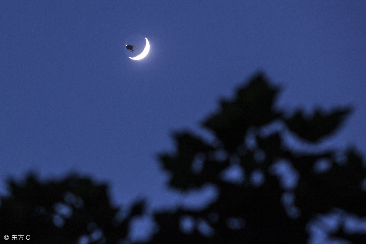 夜月古诗带拼音版图片（夜月全文赏析及释义）