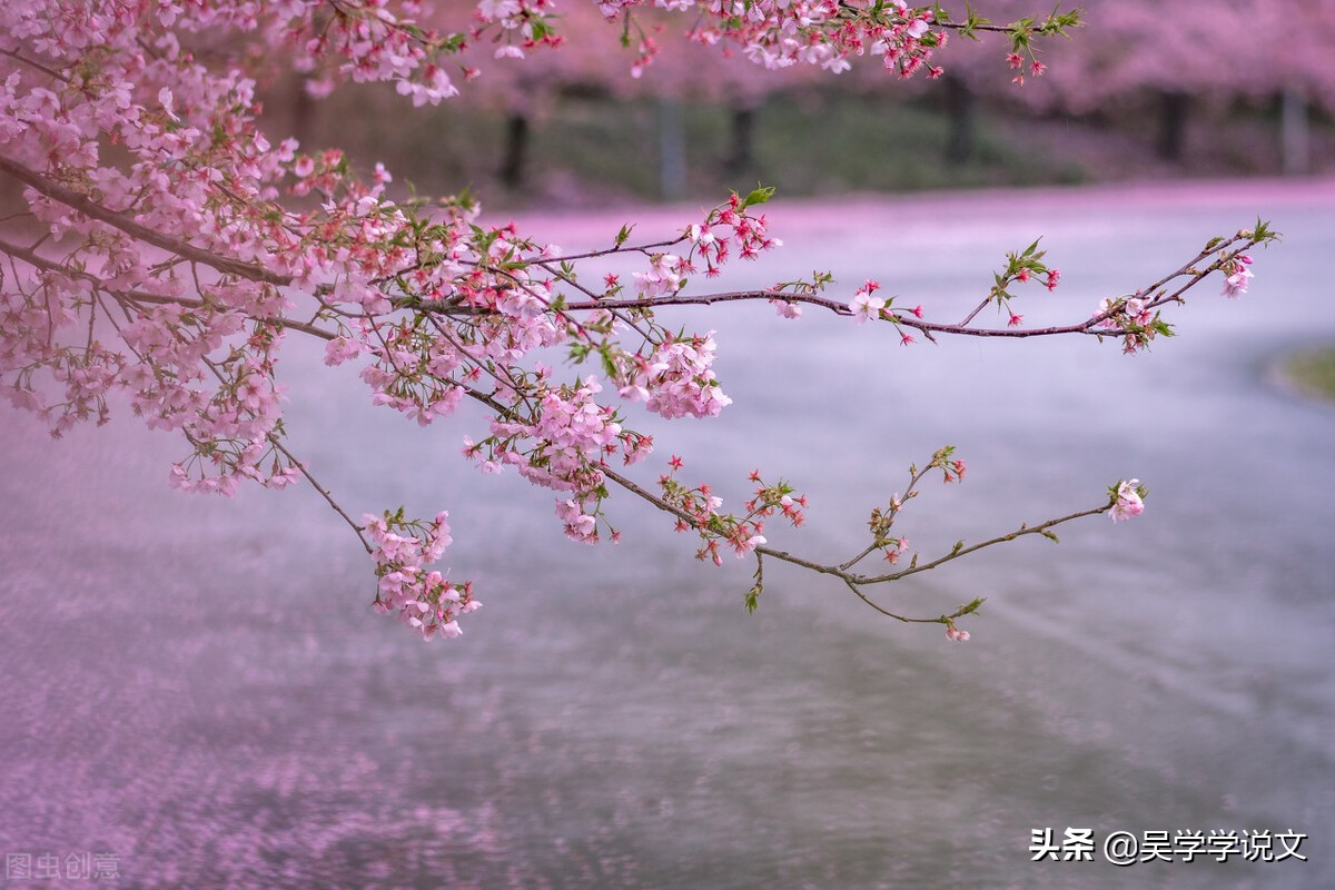描写花园景色的句子说说（赞美植物园诗词七言）